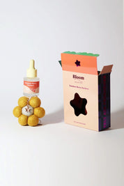 Bloom Christmas Air Freshener Summerberry Pavlova