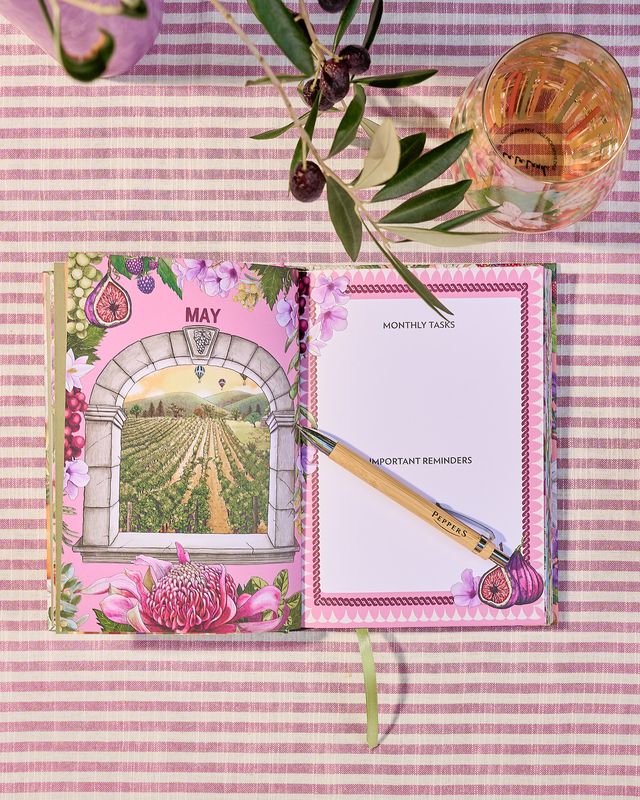 2027 Illustrated Diary