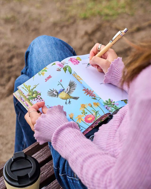2027 Illustrated Diary