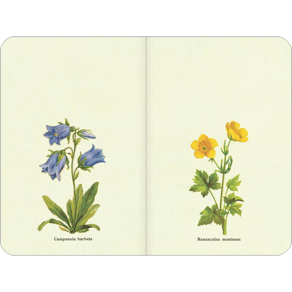 Cavallini & Co 2025 Weekly Planner Flower Garden Shop at Morris et al