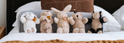 Winnie Rabbit