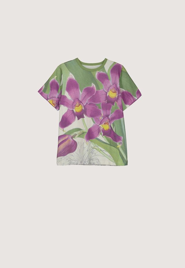 Apollo Tee- Bollea Orchid