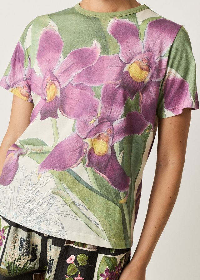 Nancybird Apollo Tee Bollea Orchid