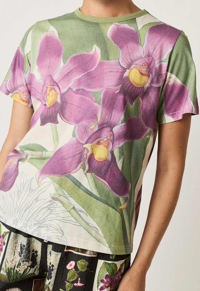 Nancybird Apollo Tee Bollea Orchid