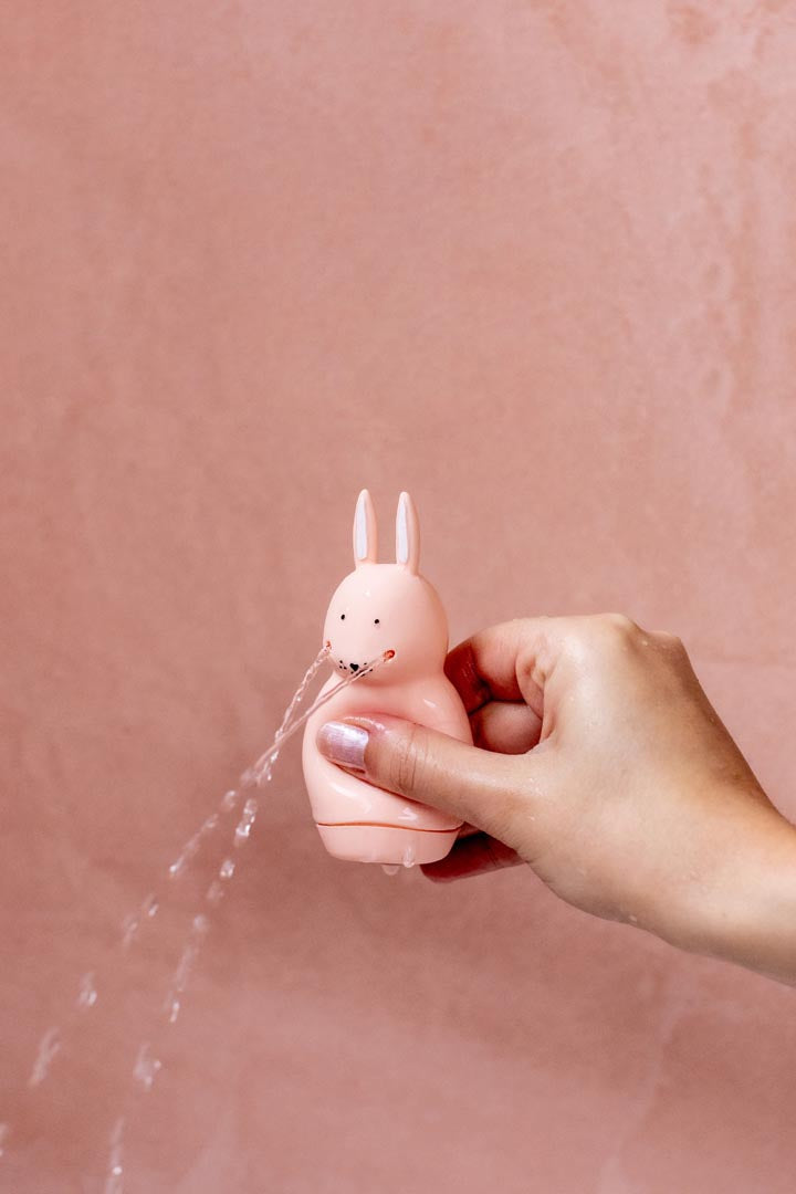 Bath Toy Squeezy Animals