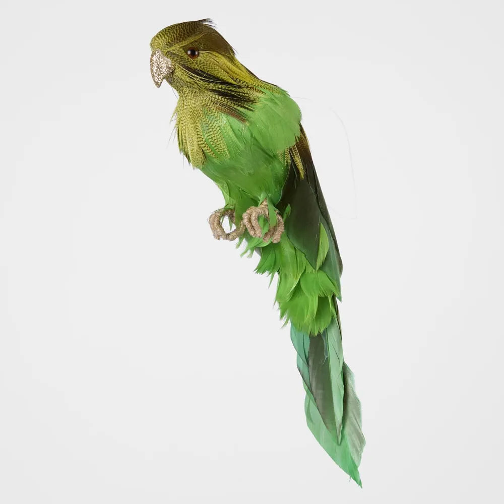 Vixen & Velvet Bernie the Green Budgie