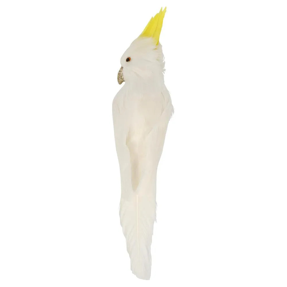 Bert the Cockatoo