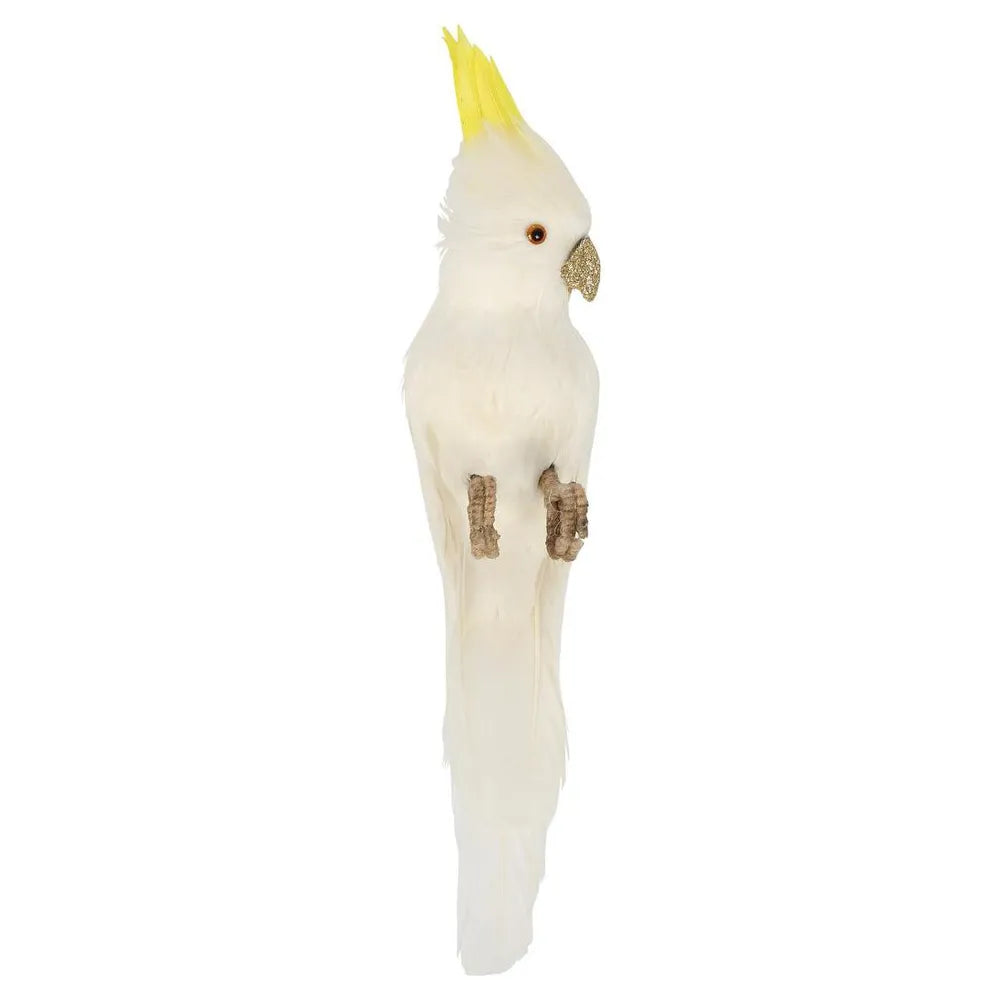 BerttheCockatoo-VixenandVelvet.webp