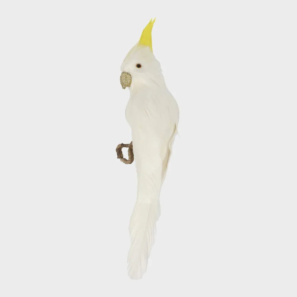 Vixen & Velvet Bert the Cockatoo