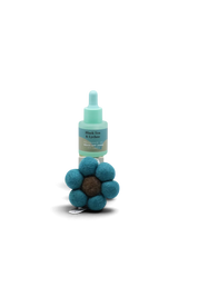 Bloom Air Freshener- Black Tea & Lychee