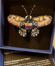 Borneo Birdwing Butterfly Brooch