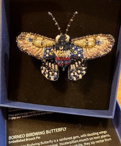 Borneo Birdwing Butterfly Brooch
