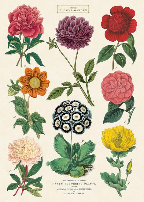 Vintage Poster/Gift Wrap