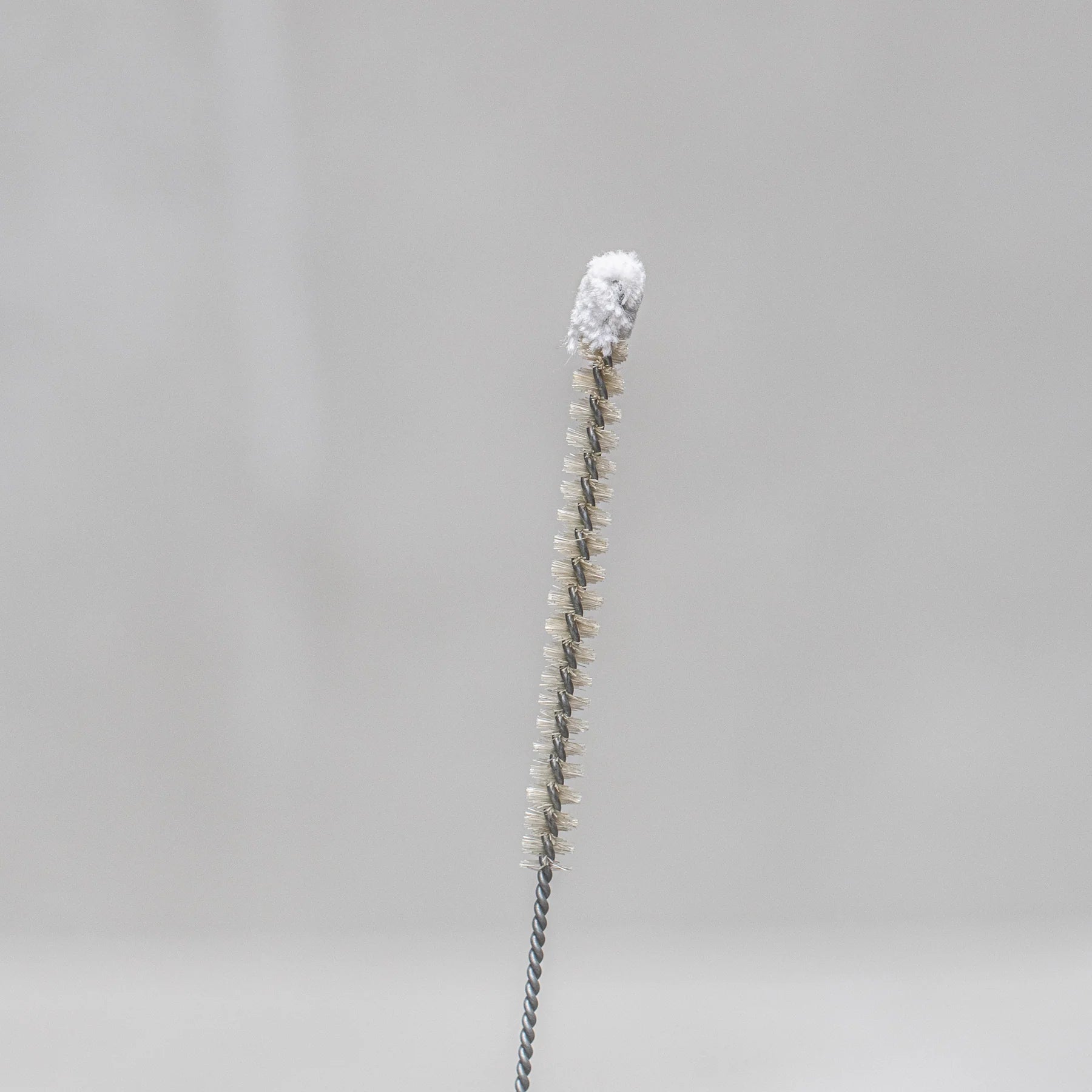 Cotton Top Bottle Brush