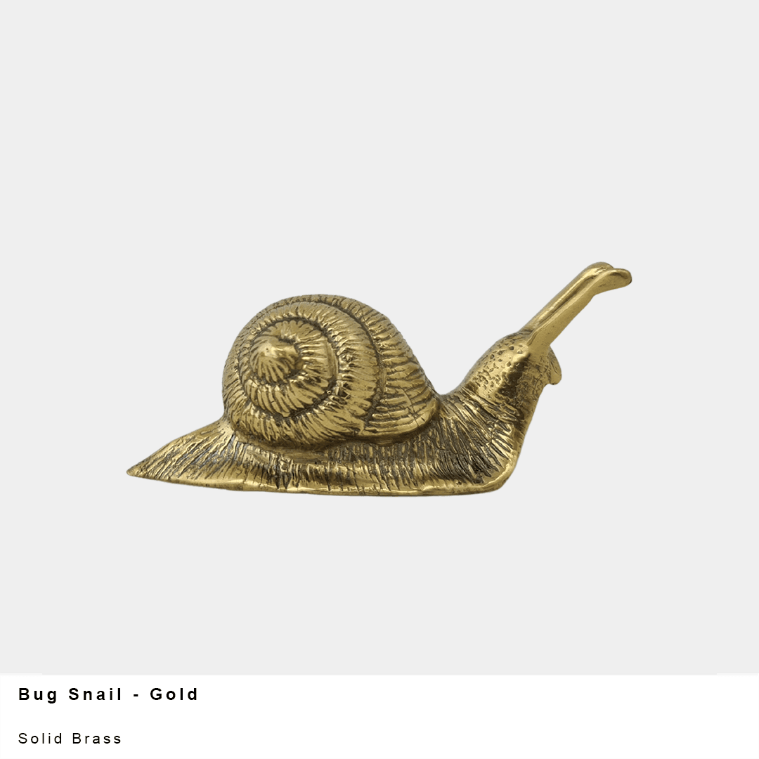 Small Brass Snail Decor