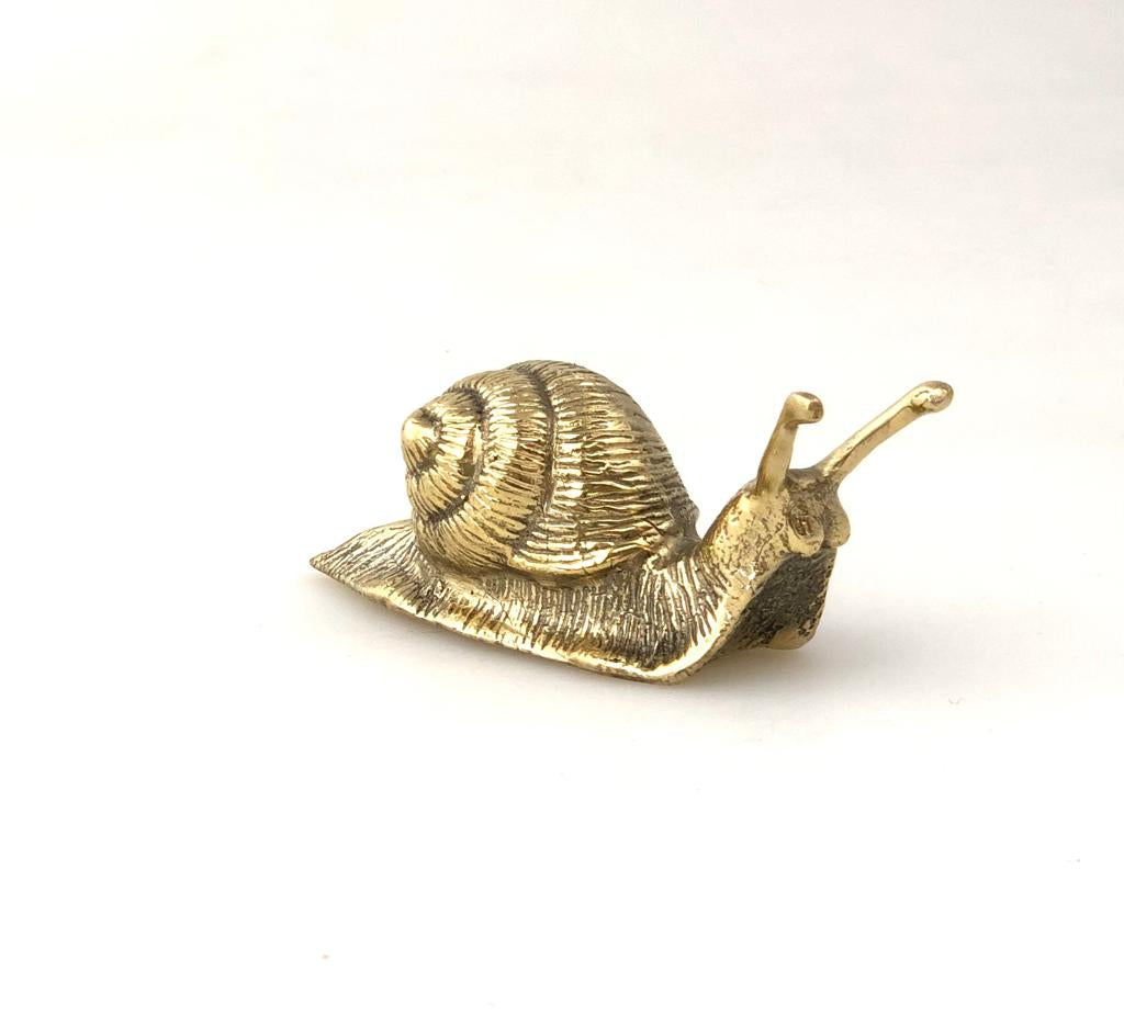 Solid Brass Snail