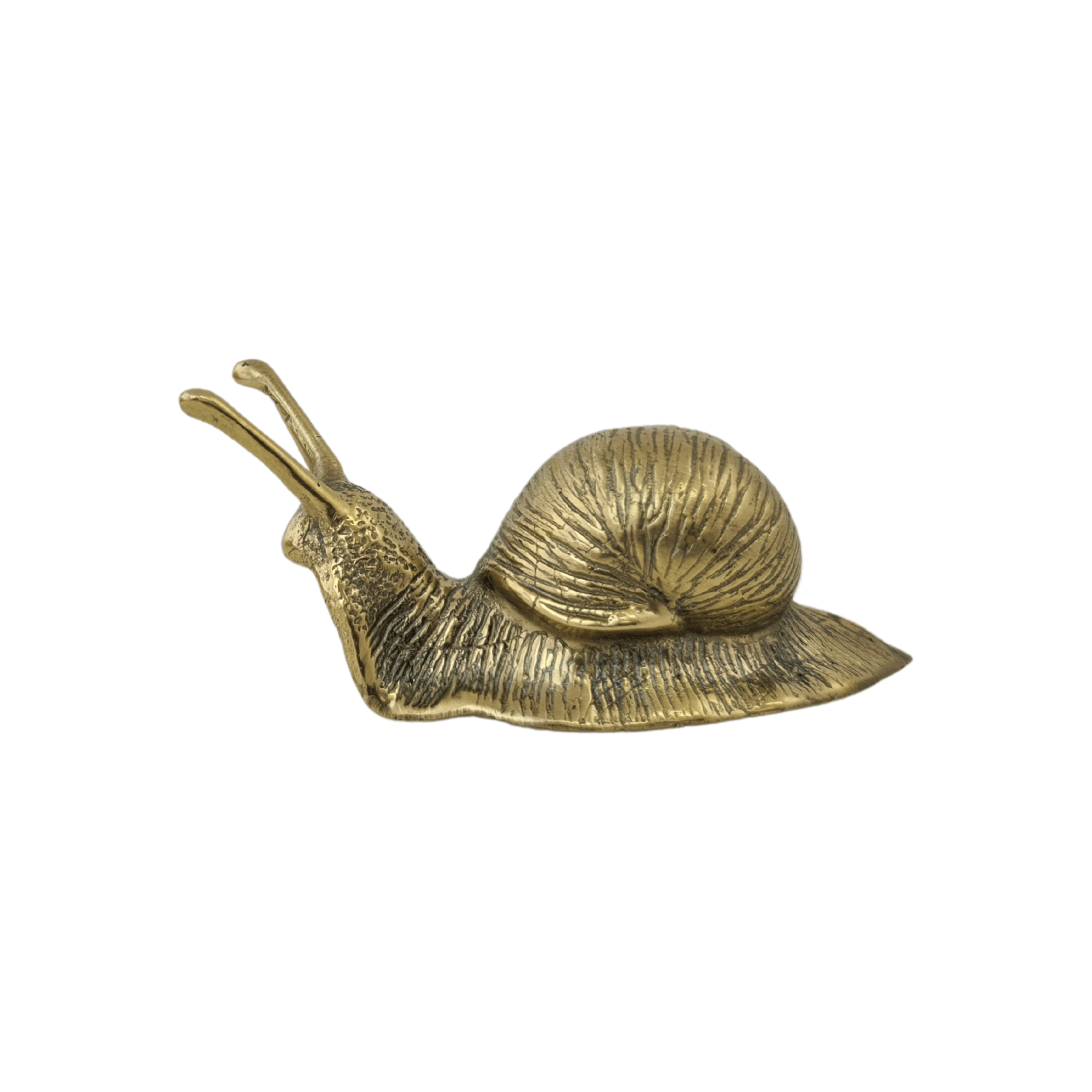 Solid Brass Snail