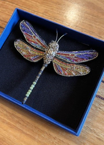 BrownHawkerDragonfly2.jpg