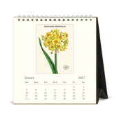 2027 Desk Calendar- Botanica