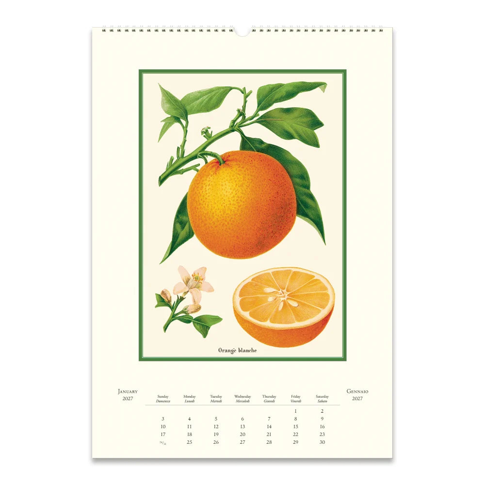 2027 Wall Calendar- Farmer's Market