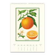 2027 Wall Calendar- Farmer's Market