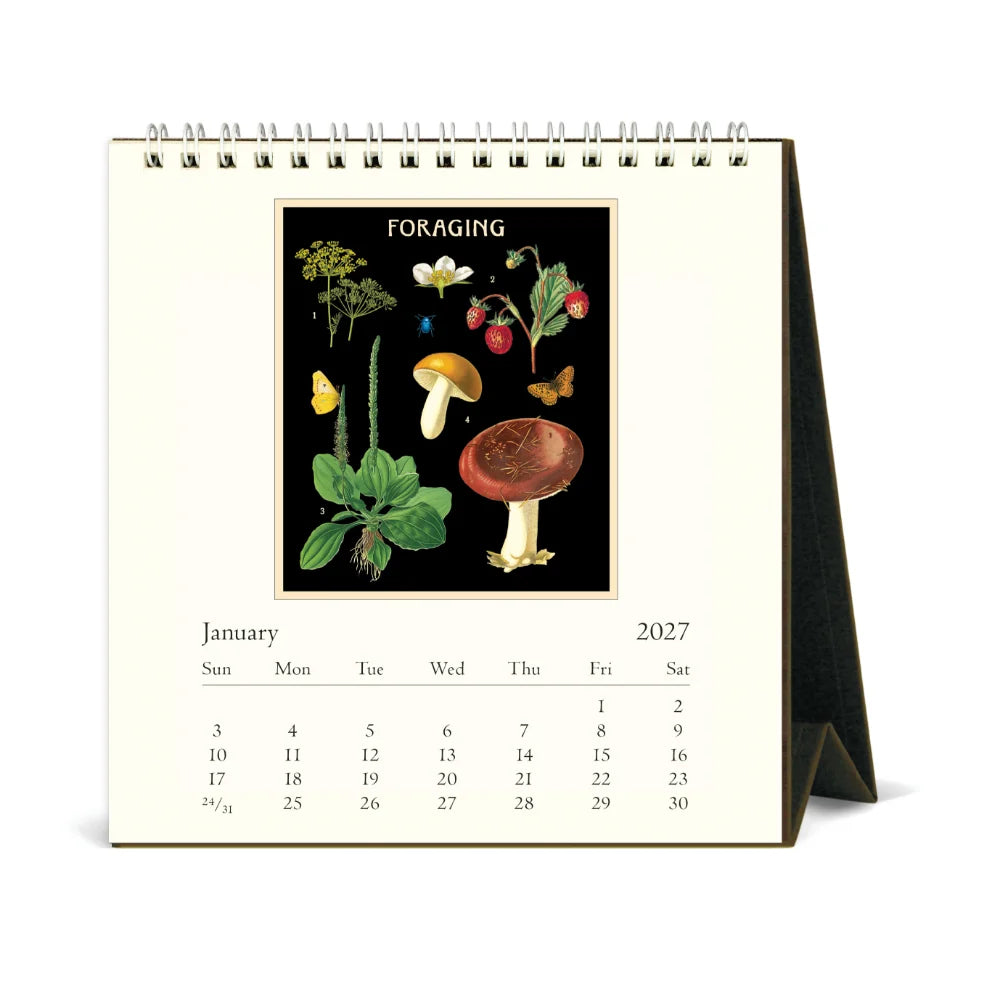 2027 Desk Calendar- Foraging