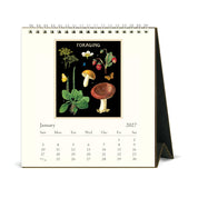 2027 Desk Calendar- Foraging