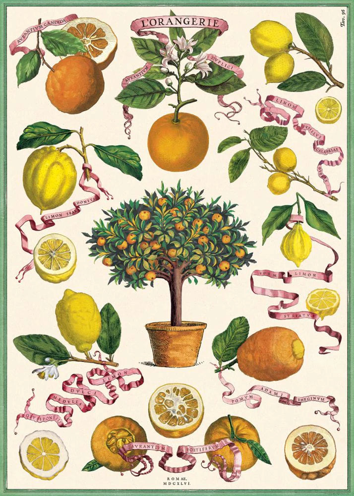 Vintage Poster/Gift Wrap