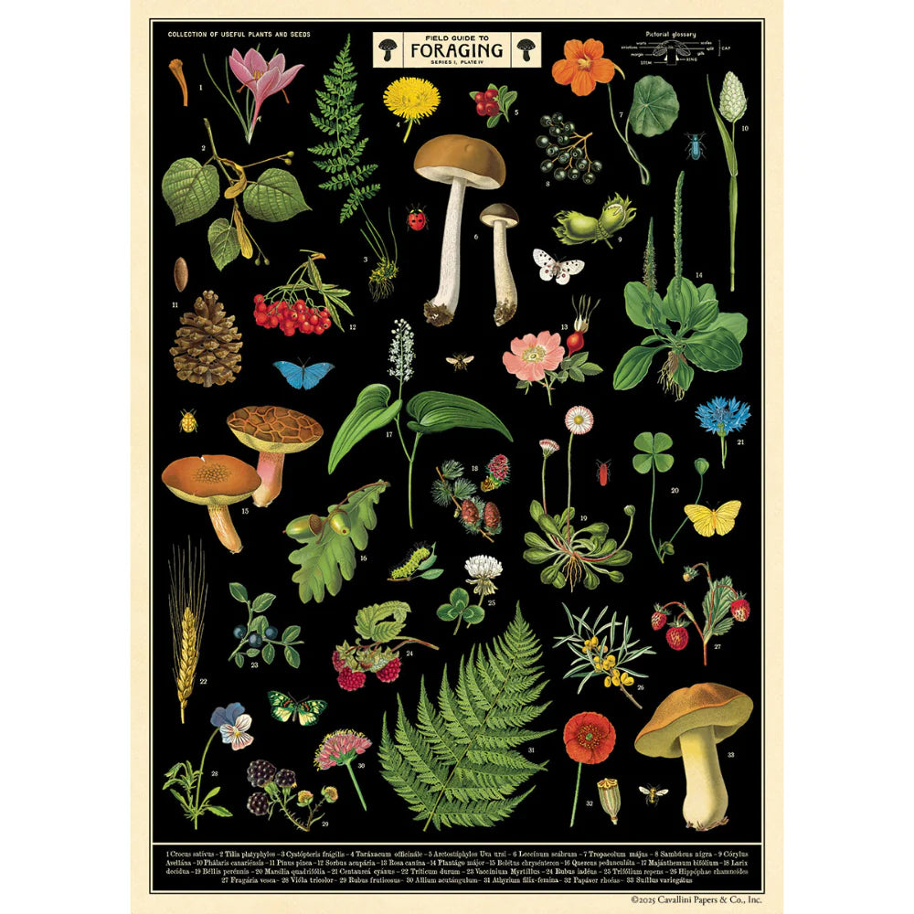 Vintage Poster/Gift Wrap
