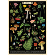 Vintage Poster/Gift Wrap