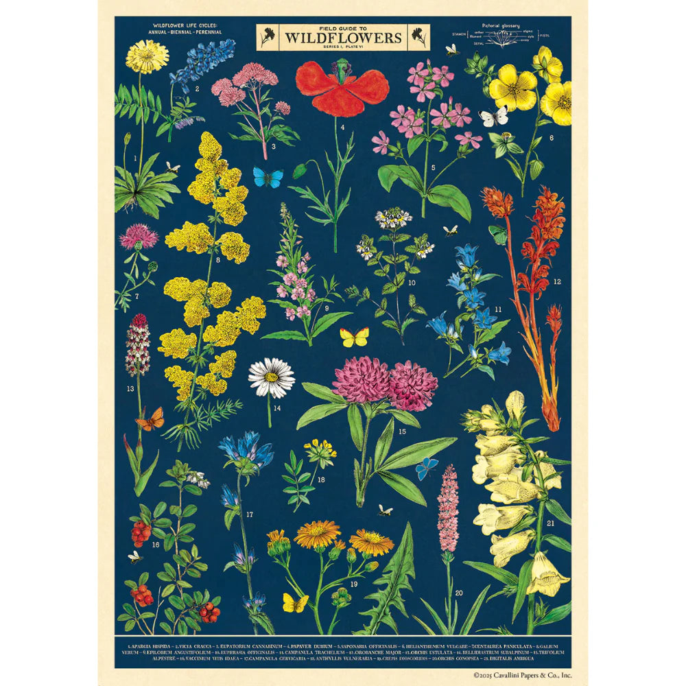 Vintage Poster/Gift Wrap
