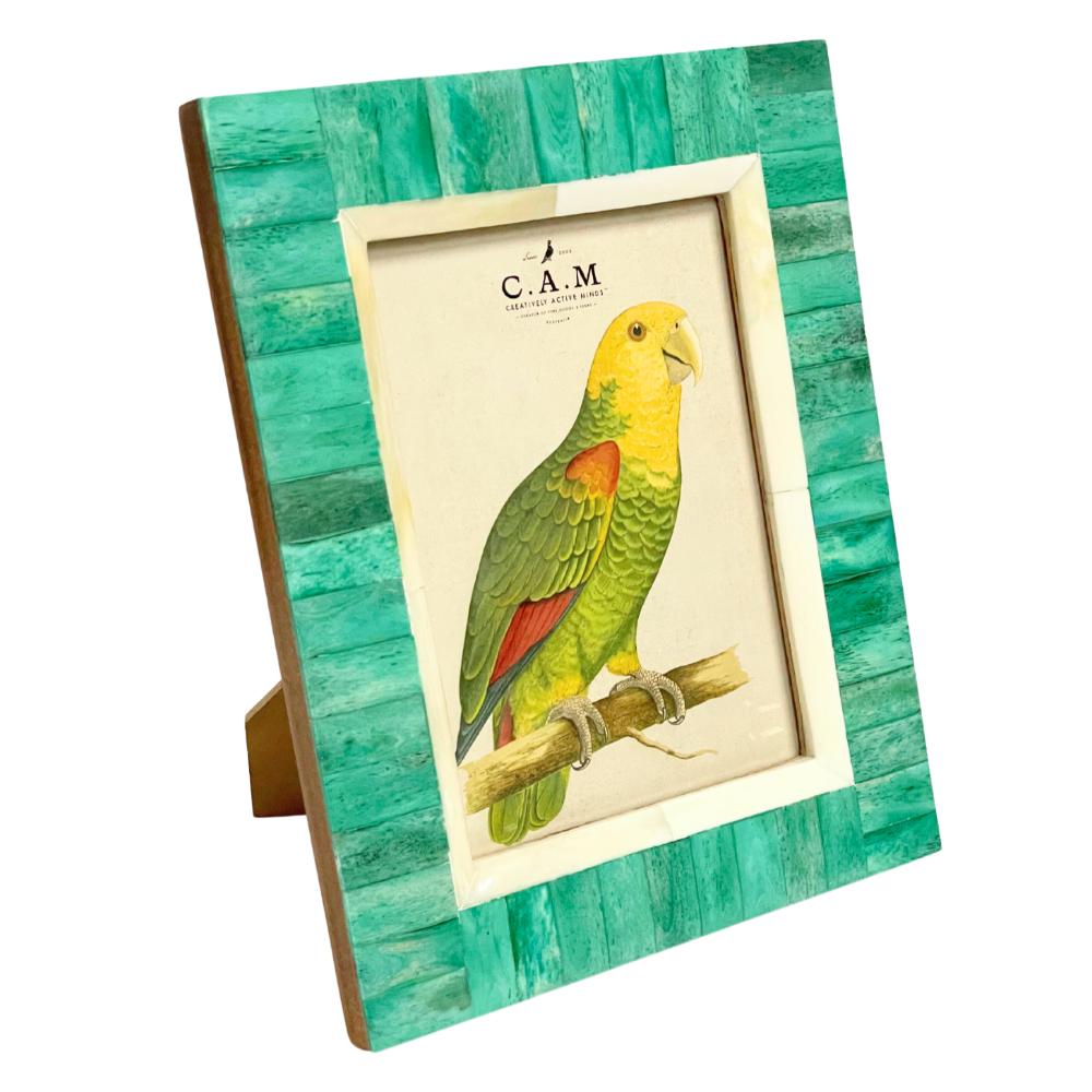 Paradiso Frame Verde- 5 x 7"