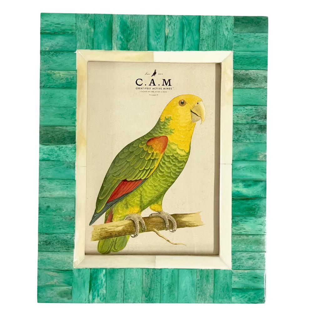 Creatively Active Minds Paradiso Bone Photo Frame- Verde 5 x 7"