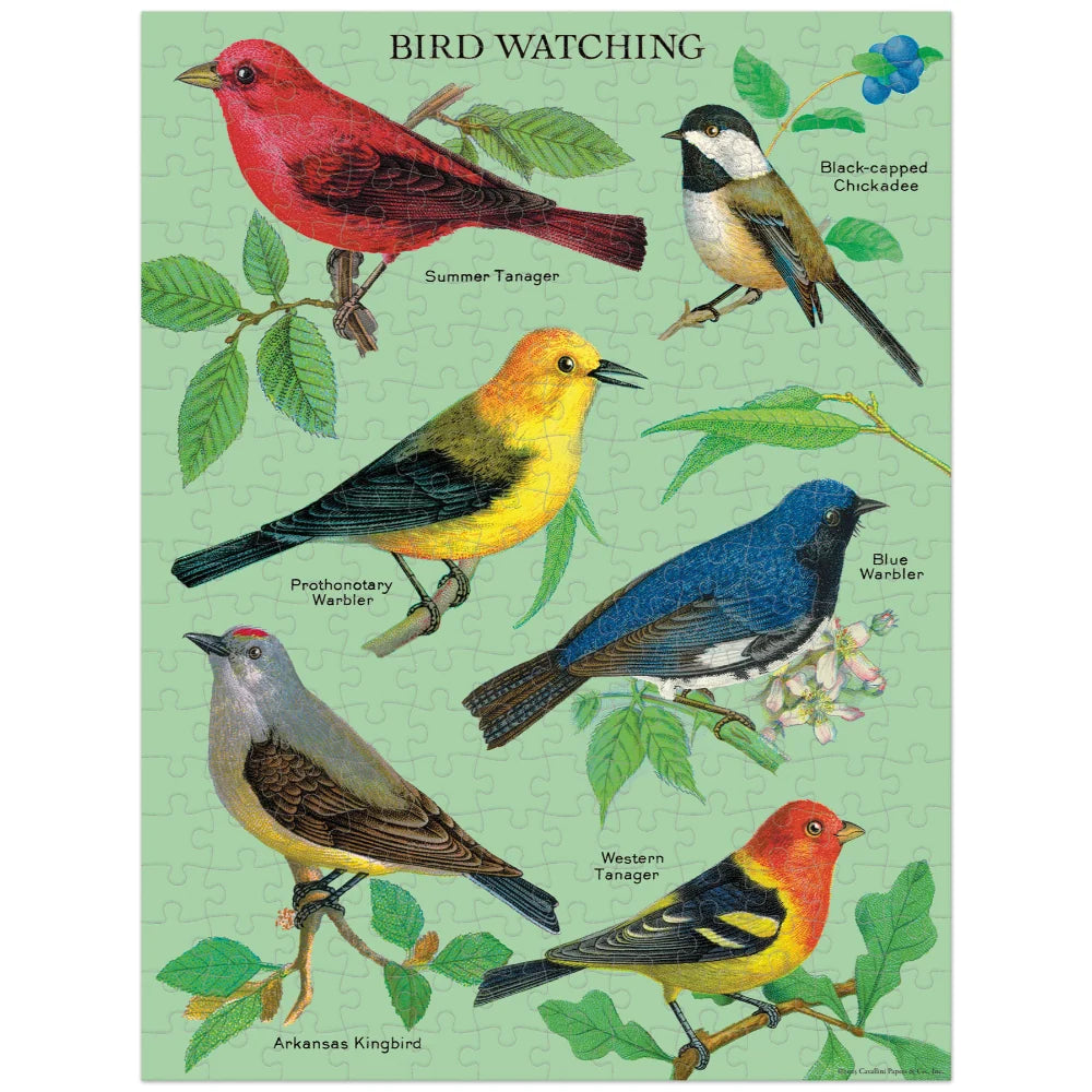 240pc Mini Puzzle- Cavallini