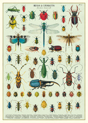 Vintage Poster/Gift Wrap