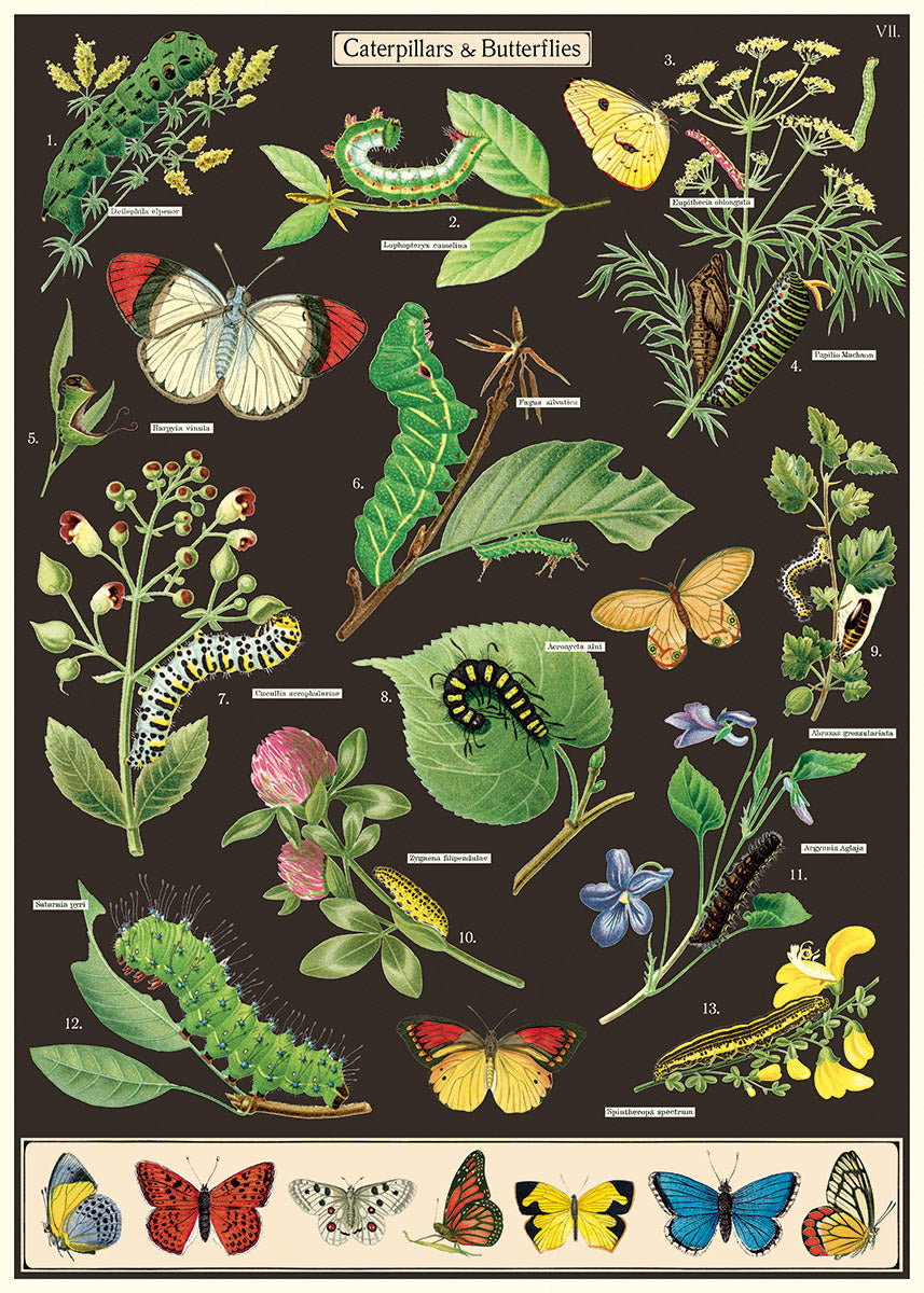 Vintage Poster/Gift Wrap