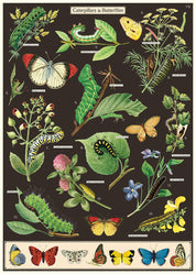 Vintage Poster/Gift Wrap