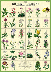 Vintage Poster/Gift Wrap