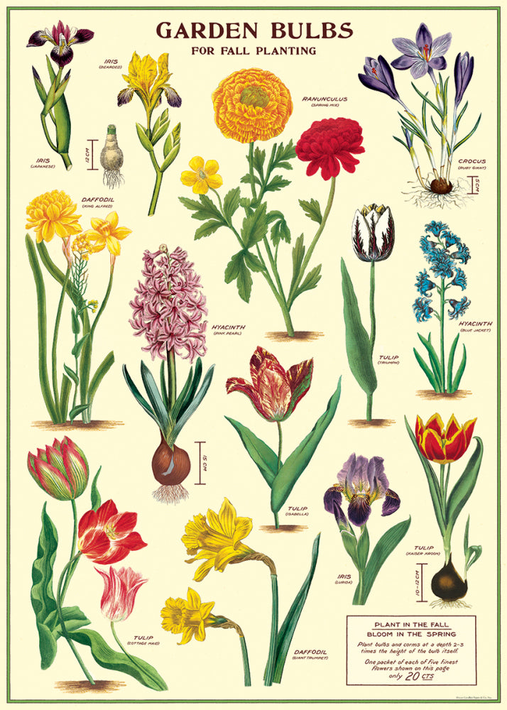 Vintage Poster/Gift Wrap
