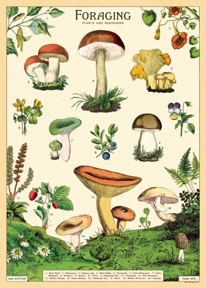 Vintage Poster/Gift Wrap
