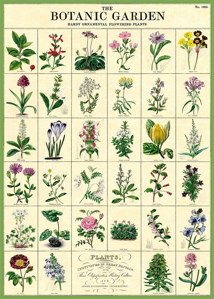 Vintage Poster/Gift Wrap