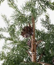 Cedar Evergreen Christmas Tree-140cm