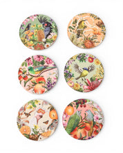 La La Land Coaster Set Birds of Australia