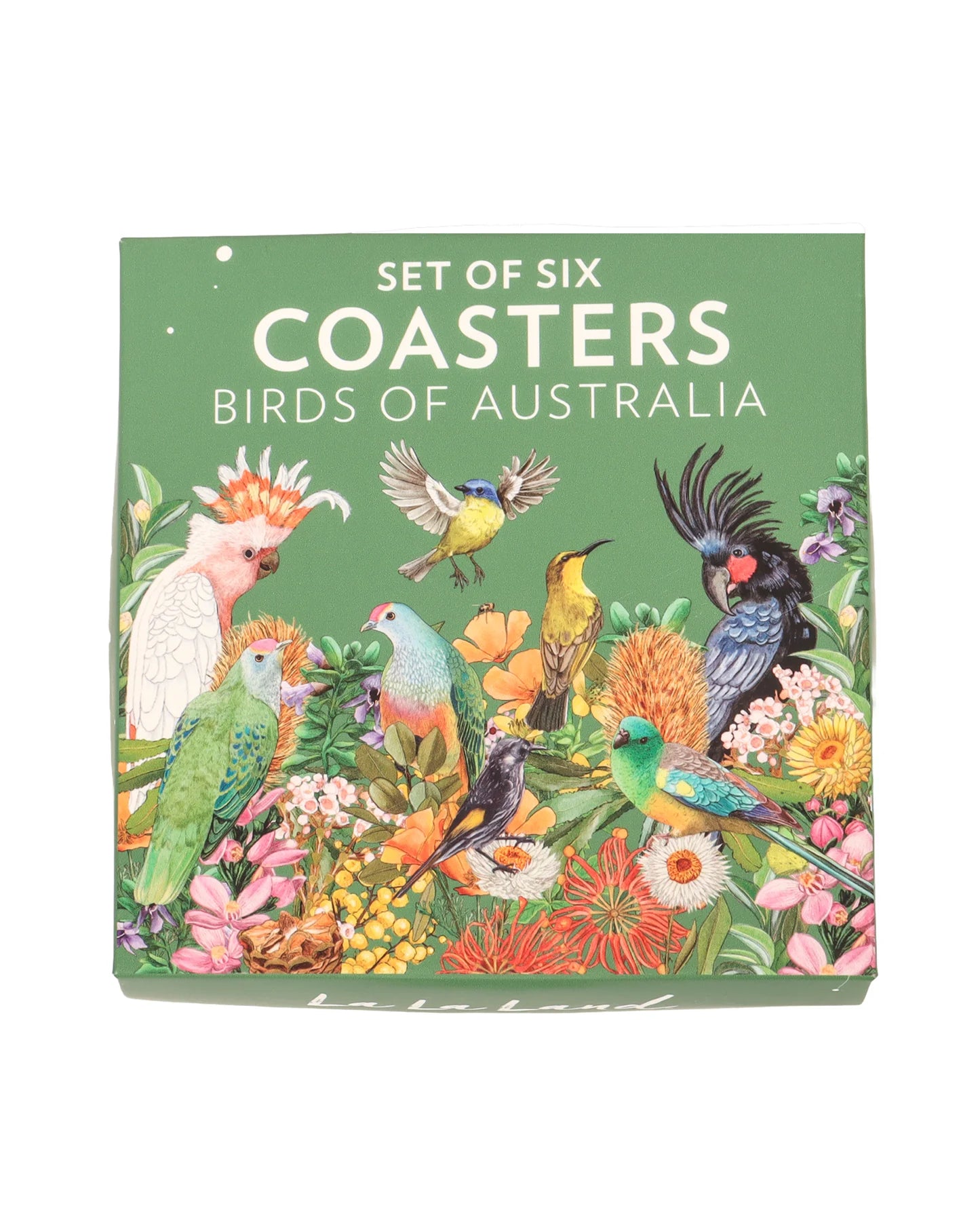 CoasterSet-Front.webp