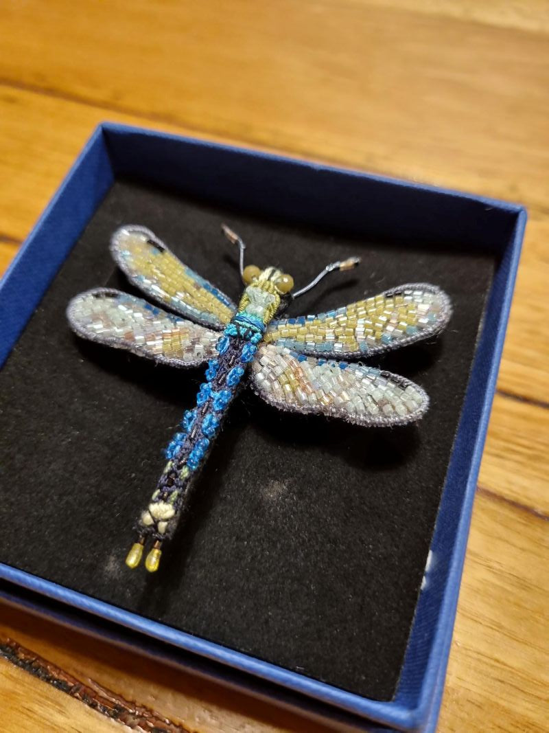 Common Hawker Dragonfly Brooch