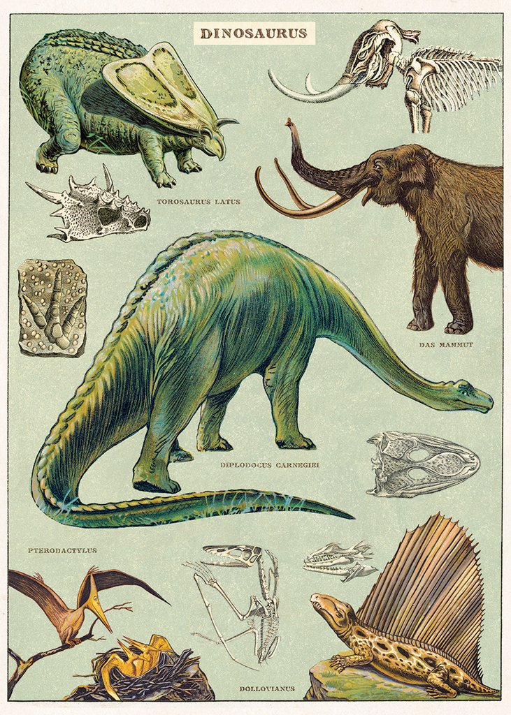 Vintage Poster/Gift Wrap
