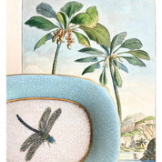 Exotico Savon Dish- Dragonfly