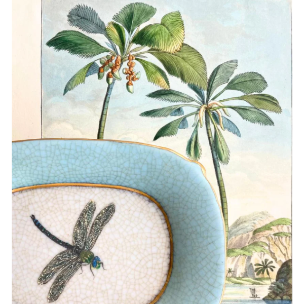 Exotico Savon Dish- Dragonfly