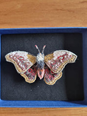 Trovelore Emperor Mopane Moth Embellished Brooch