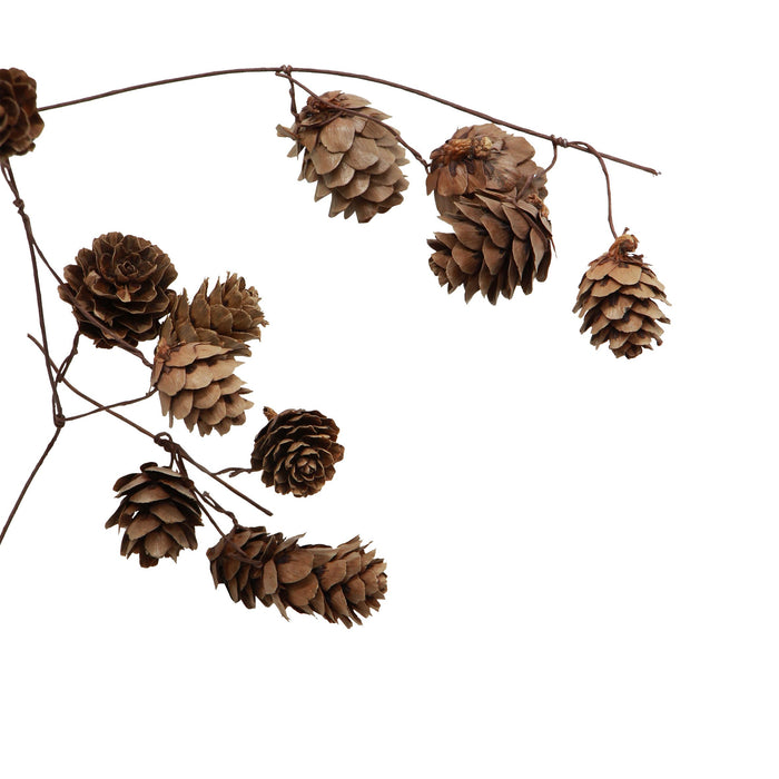 Pinecone Branch- Brown